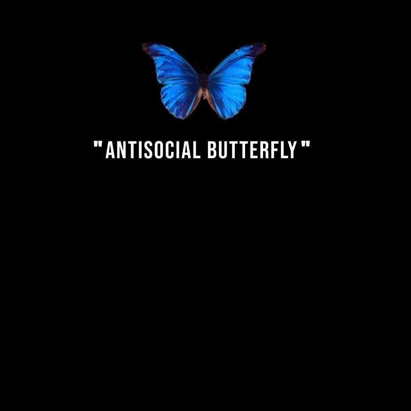 Papillon antisocial - Esthétique du papillon -