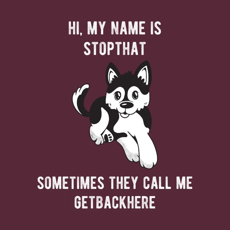Mon nom est Stopthat Getbackhere Pomsky Hyper Dog