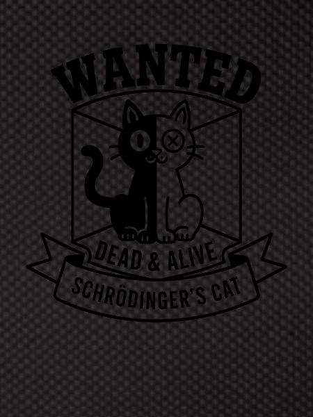 Schroedinger ́s Cat