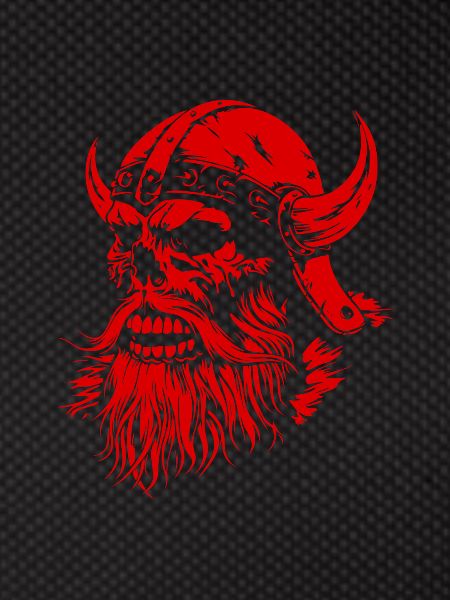 Crâne Viking