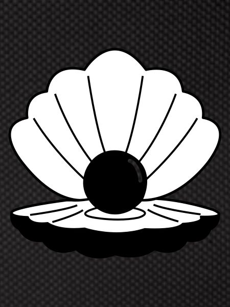 shell 02