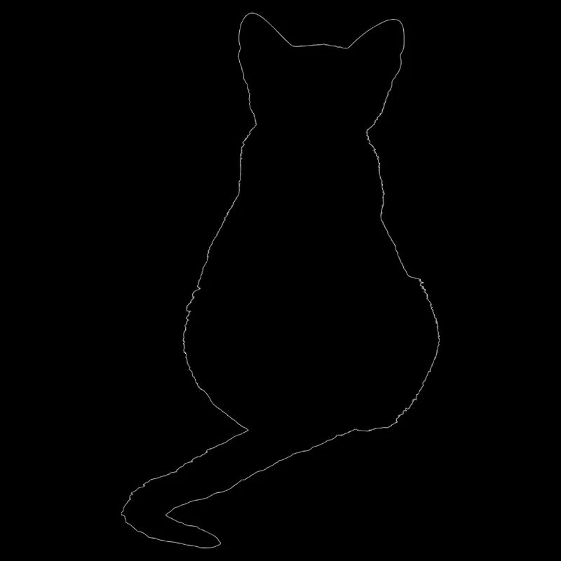 Katze Kätzchen Katzenshirt Geschenk