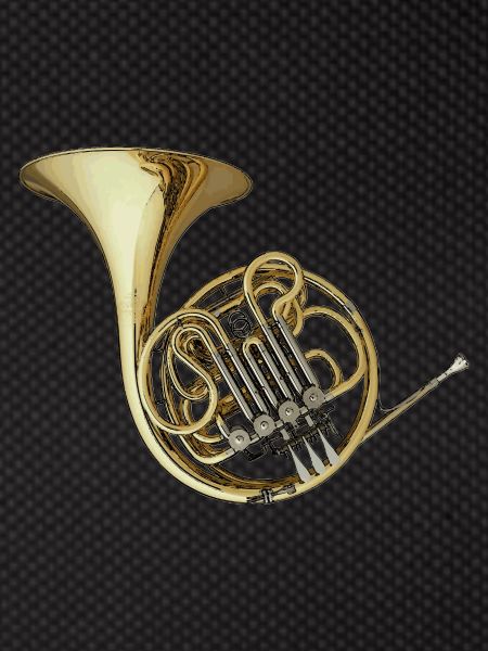 double Horn