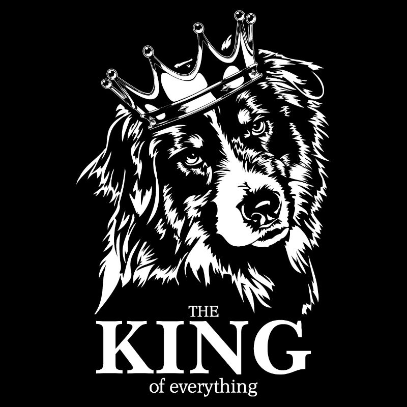 AUSTRALIAN SHEPHERD King of everything Wilsigns
