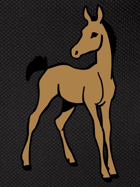Foal
