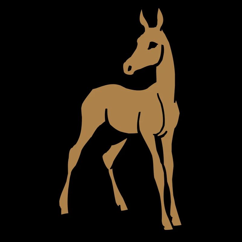Foal
