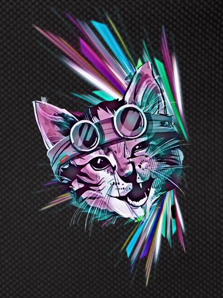 Cool cat