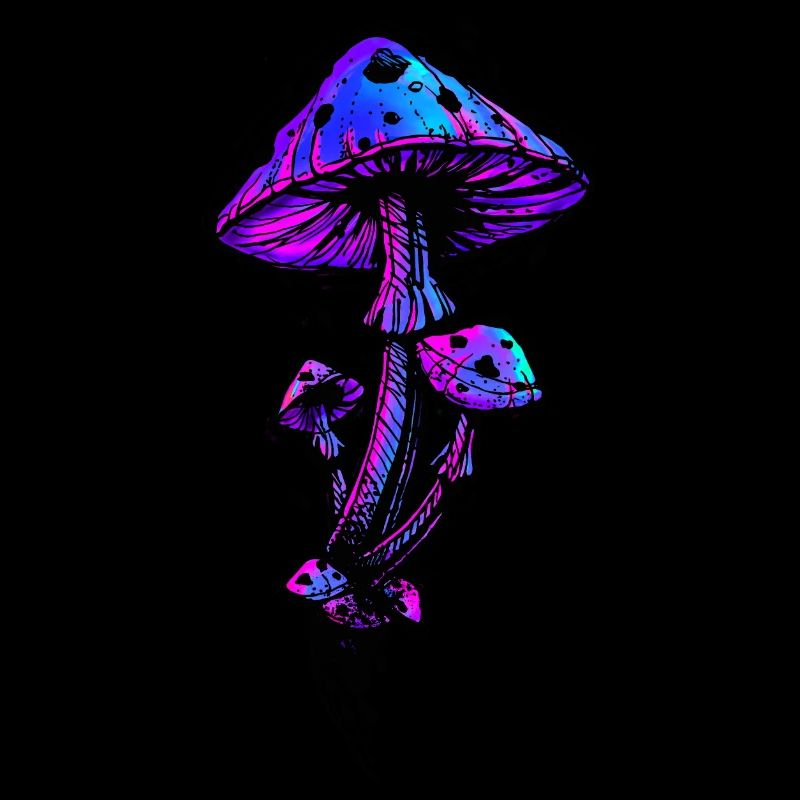 Champignons psychédéliques