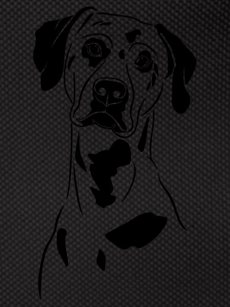Dalmatian