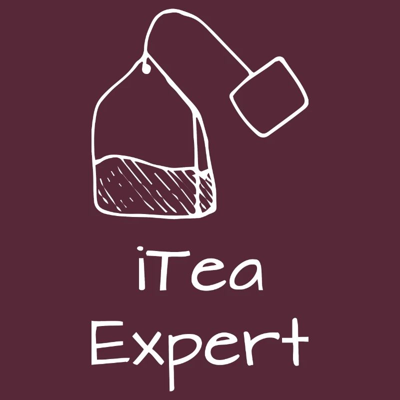 Itea expert Programming Informatic Gift