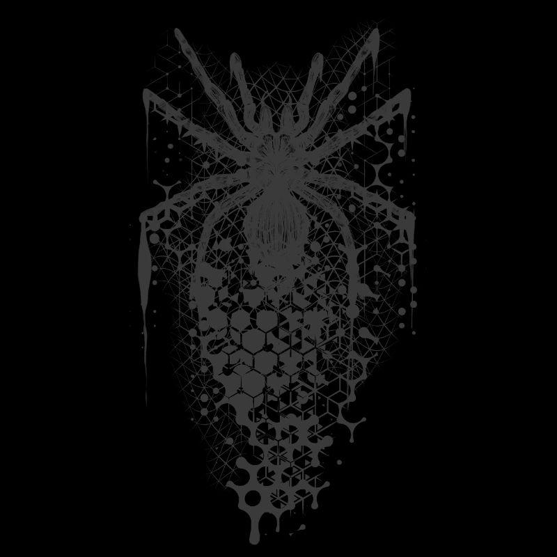 Fragmented Spider