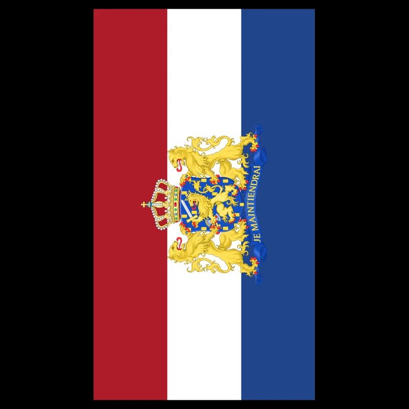 Netherlands flag phone case