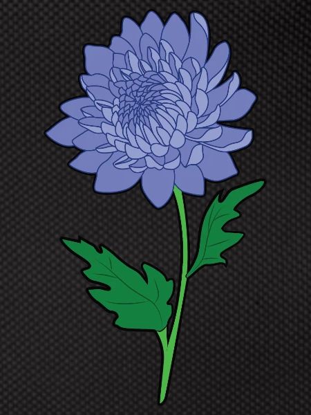 Chrysanthemums
