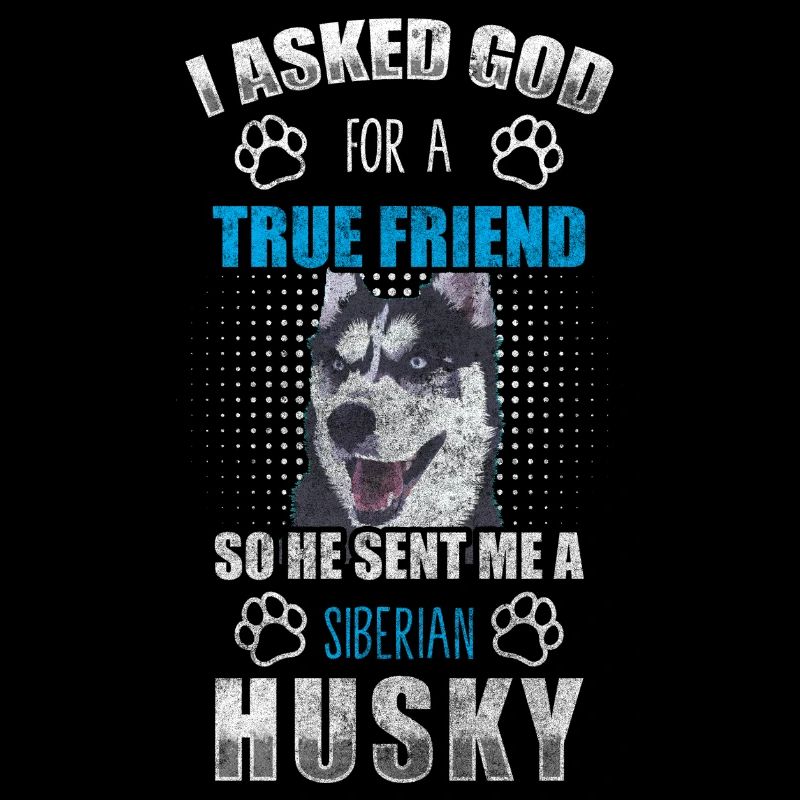 Husky Hunderasse Rassehund
