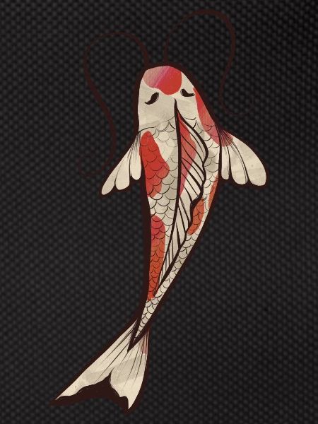 Koi