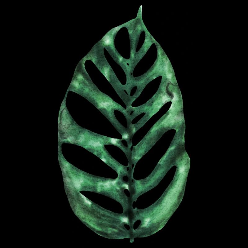 Monstera Esqueleto