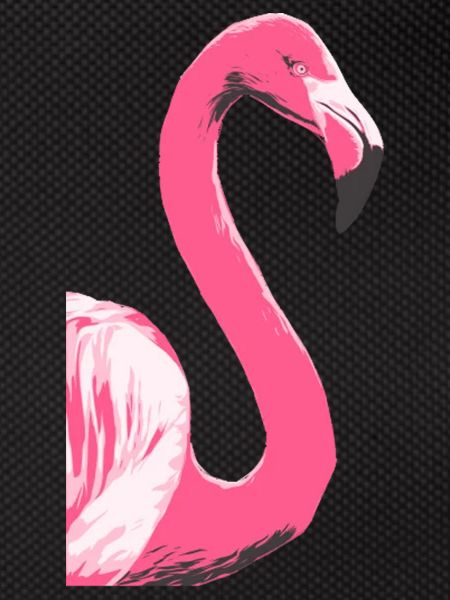 Flamingo Bird Illustration