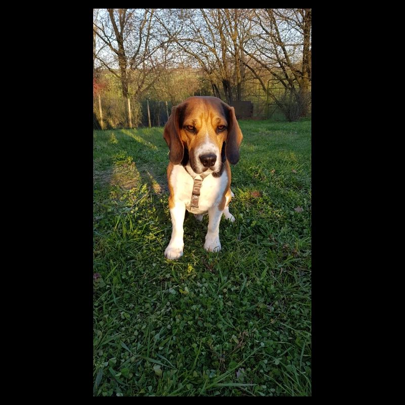 BD2D42FA 2360 40FD B0CB 5113CCC2E731