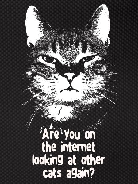 Internet Cat