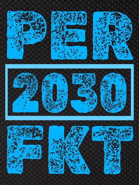 Perfect 2030