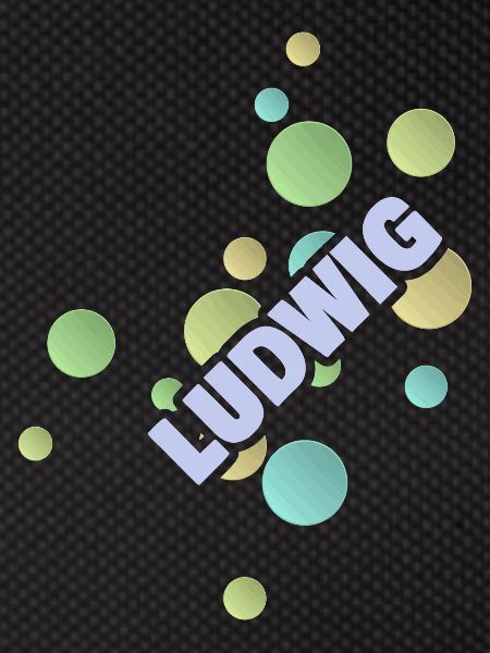 Gift for Ludwig
