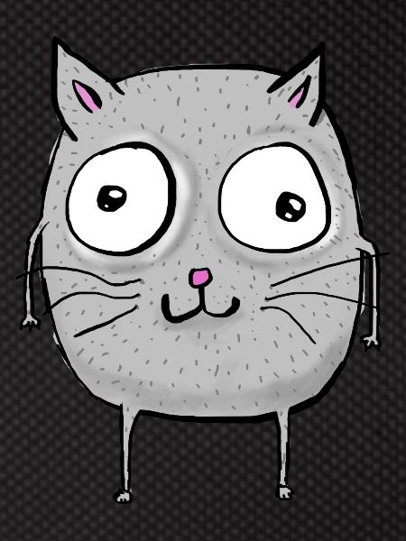 Funny cat
