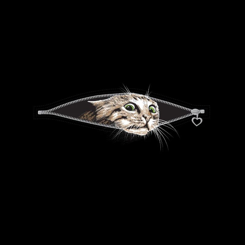 Katze Katzen