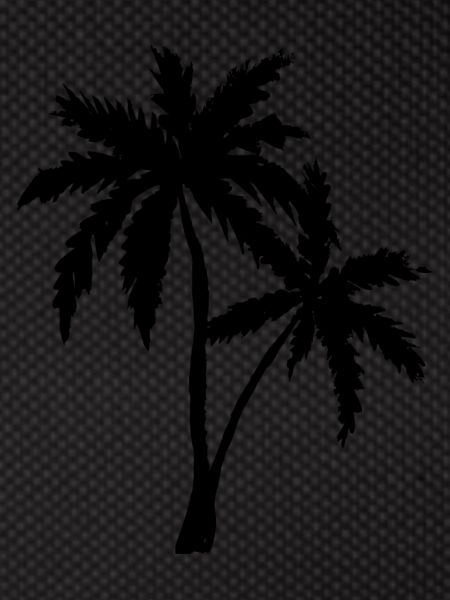 Palm Beach Holiday
