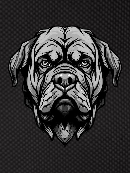 Mastiff Dog Head