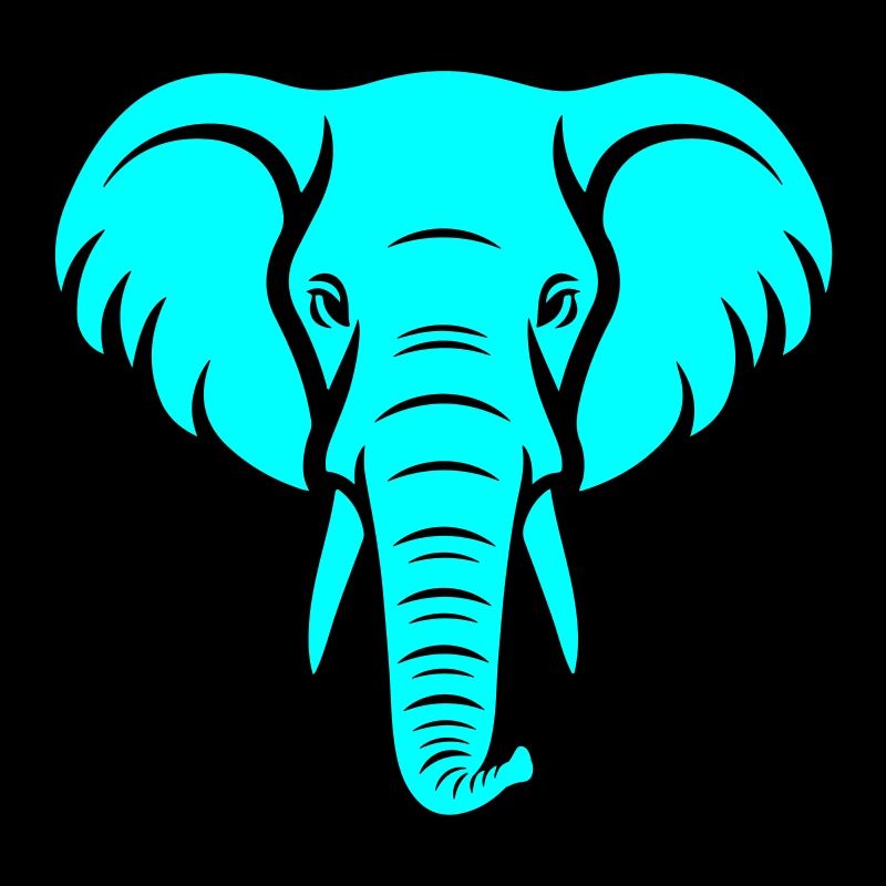 Elefant Kopf