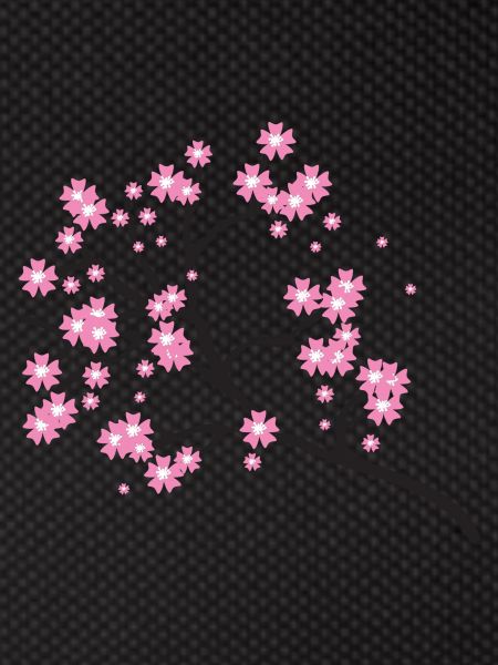 Cherry blossom branch