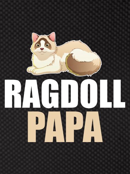 Ragdoll Cat Cat