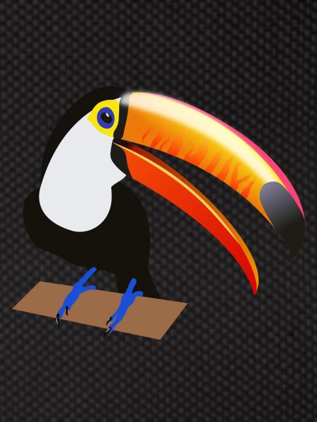 Eko the Toucan
