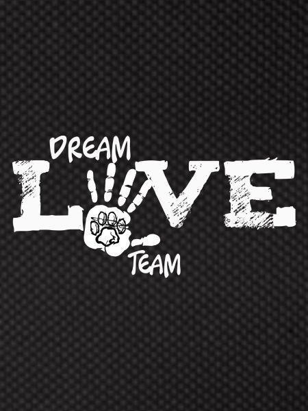 Dream Team Love