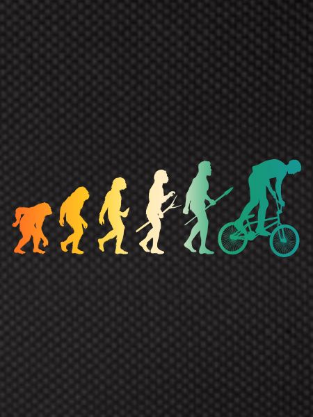 Vélo Evolution VTT