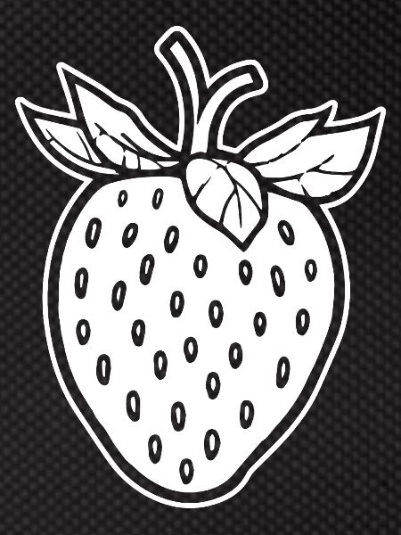 Fraise Fruit Fruit