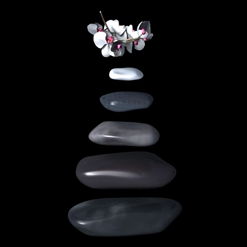 Galets et orchidées zen