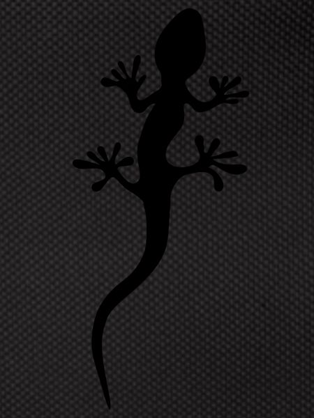 gecko