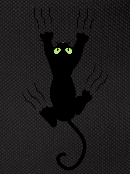 BAD BLACK CAT