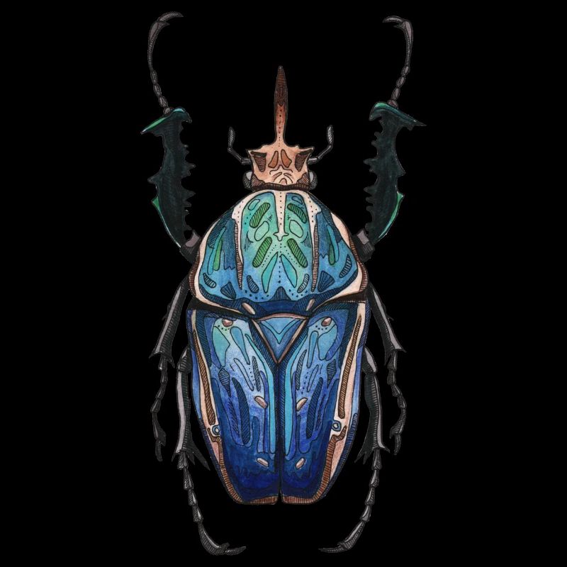 Big Beetle Stag - cerf géant