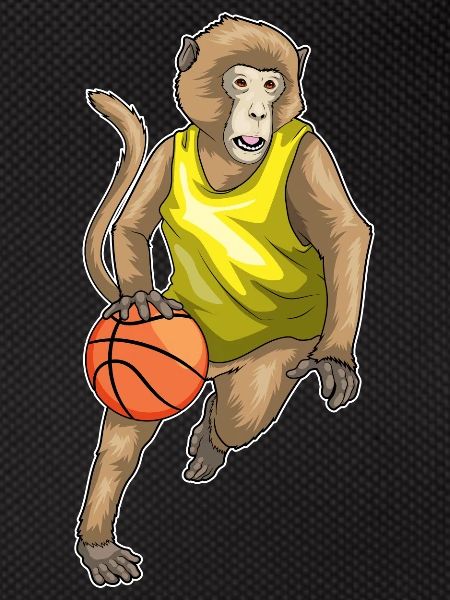 Singe Basketteur Basketteur