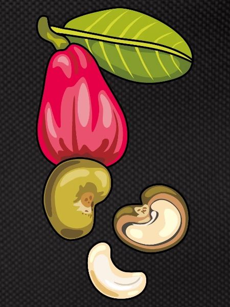 Cashew nuts