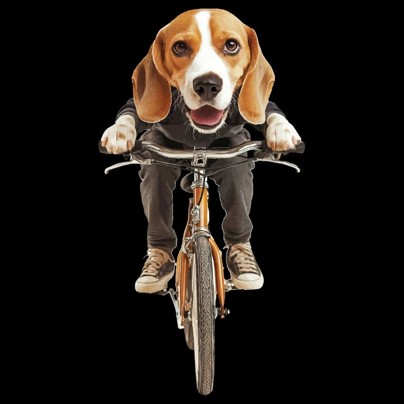 Beagle