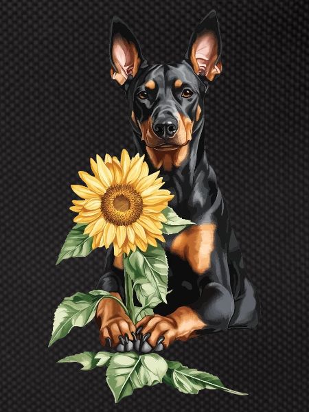 Dobermann