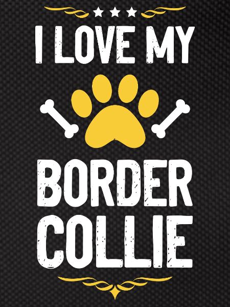 I love Border Collie