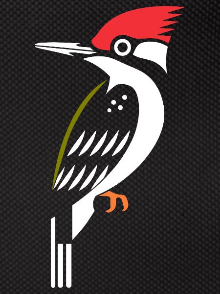 woodpecker