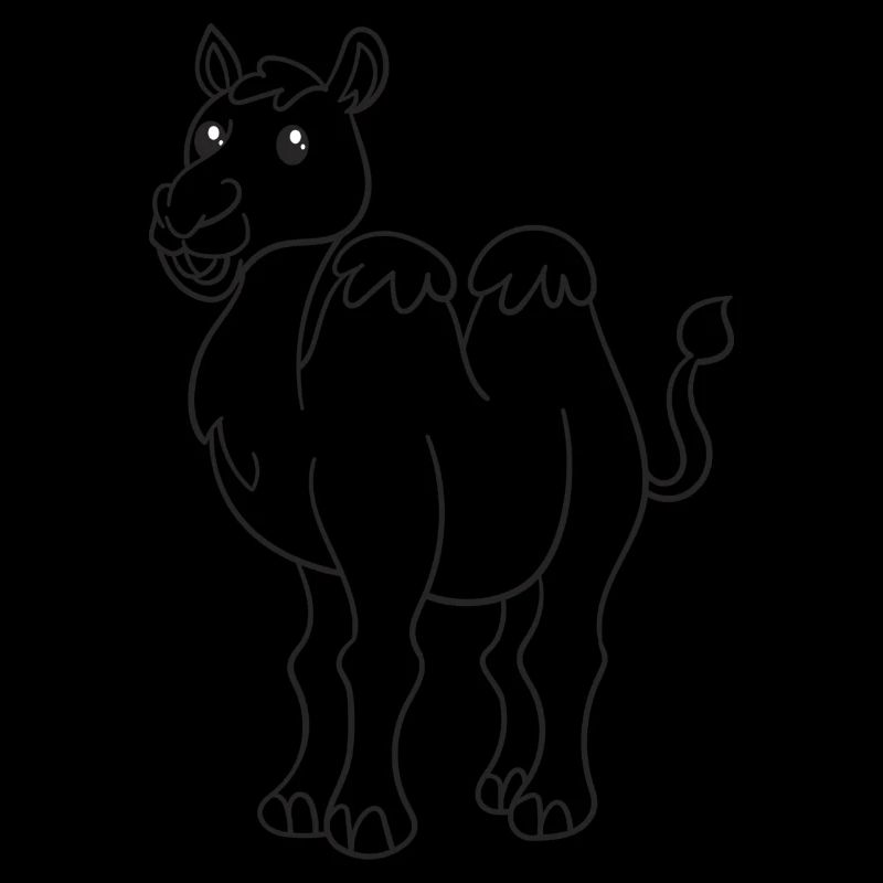 Kamel, Kamele, Geschenk, Geschenkidee