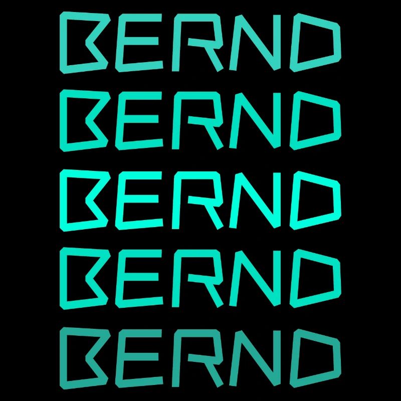 Boy's name for Bernd First name Boy