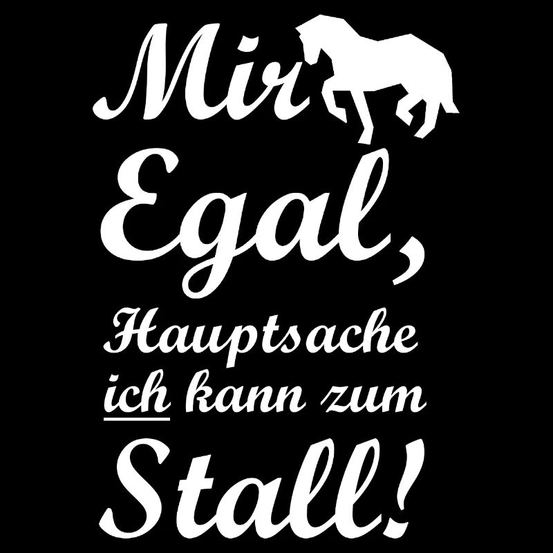 Pferd Stall Reiten
