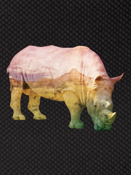 Nashorn